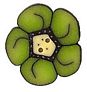 Small Lime Wildflower